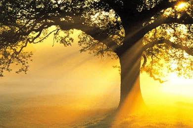 Nature Wallpapers Hd