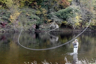 Beautiful Fly Fishing HD Wallpapers