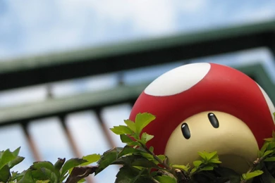 Wallpapers Gaming Mario Epic 1280x800