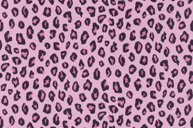 Pink Cheetah Wallpapers