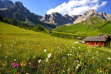 MOUNTAIN CABIN WALLPAPER   (