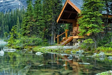 LAKE CABIN WALLPAPER (