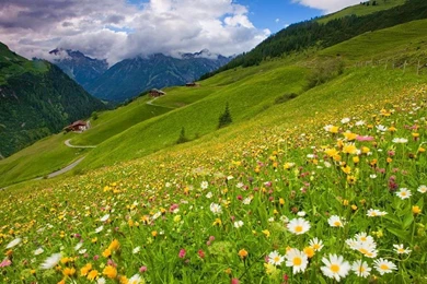 Mountain Houses 1217004 Wallpapers   (