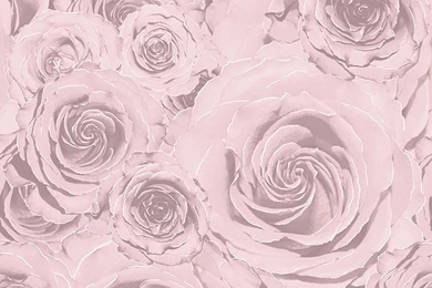 Floral Wallpapers Collection