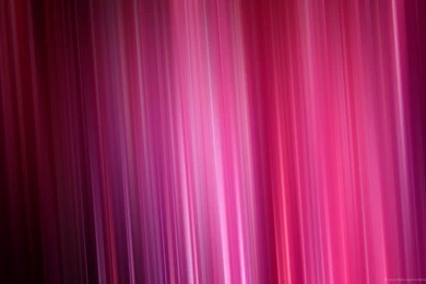 Pink Wallpapers 550   HD Wallpapers