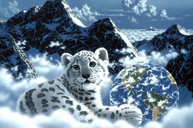 Tiger 3D Desktop Backgrounds Wallpapers 6546   Amazing Wallpaperz