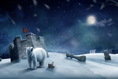 112 Chess HD Wallpapers