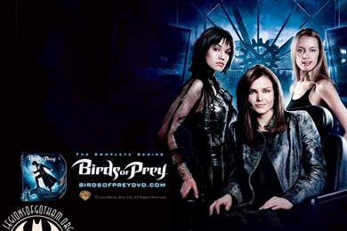 Birds Of Prey Wallpapers   Wallpapers Cave