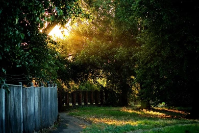 Most Beautiful Wallpapers   All Wallpapers New