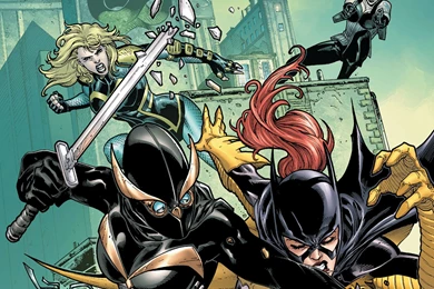 Birds Of Prey Dc comics Birds of prey Superhero D c Girl Women Hs ...