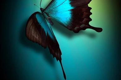 Top Make Own Wallpapers For Phone Wallpapers