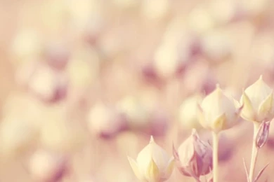 Samsung Galaxy S6 Wallpapers On Pinterest