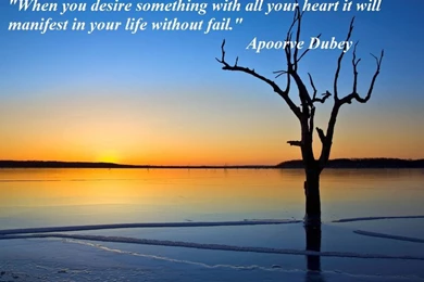 Ambition Quotes Picture