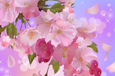 Sweet And Cute Widescreen Wallpapers : Other Wallpapers   Timbena.com