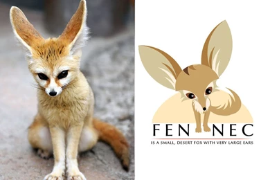 Logo Fennec Fox Concept By FayssalArt On DeviantArt