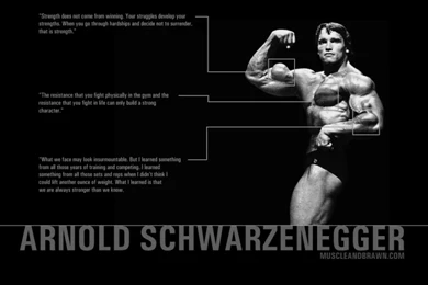 Wallpapers Bodybuilding Muscle And Brawn Powerlifting Building ...