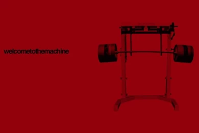 Powerlifting Wallpapers   Buscar Con Google