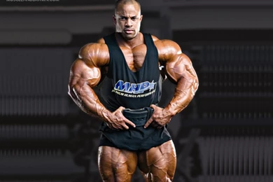 Wallpapers Bodybuilding Muscle And Brawn Powerlifting Building ...