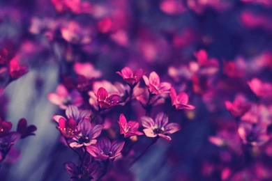 Cool Tumblr Hipster Free Wallpapers