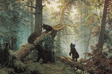 Wallpapers Ivan Shishkin Morning In A Pine Forest   1600 X 1200 ...