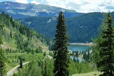 Pine Forest Lake Nature Forest Sky Tree HD Wallpapers, Desktop ...