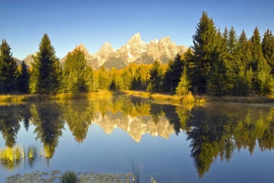 Wallpapers 1920x1080 Rocky Mountains And Pine Forest Reflected In ...