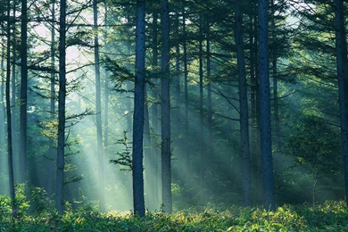 Snowy Night Wallpapers For Laptops 14703   Amazing Wallpaperz