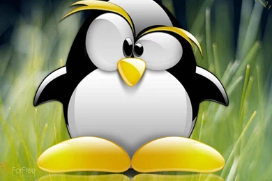 Free wallpapers for desktop computers