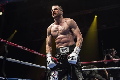 Southpaw Hollywood Movie Gallery, Picture   Movie Wallpaper, Photos