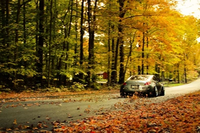 Download Leaves Nissan Wallpapers 2356x1289