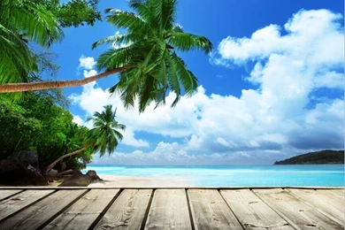 3X5ft Fashion Photo Backgrounds Vinyl Backgrounds 1x1.5m Hawaii ...