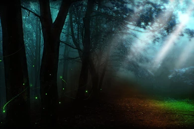 Download Fantasy Nature Wallpapers 1920x1200