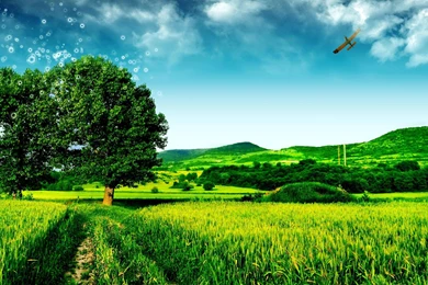 Green Tree Fantasy Landscape Nature