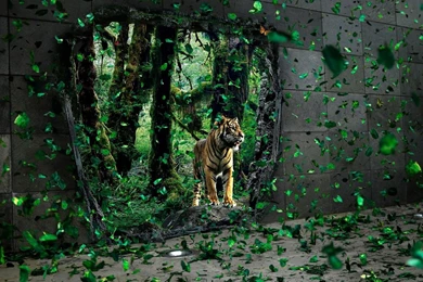 Wallpapers Fantasy Women Nature Tigers Persian Us Com With ...