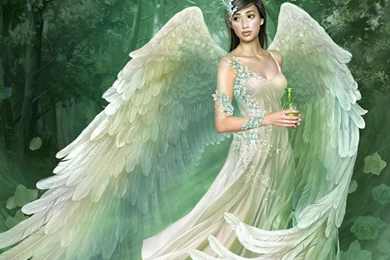 Angel Pics