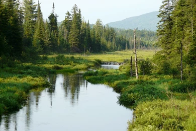 Adirondack Park For The Disabled