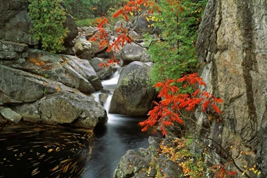 Park, Adirondack, Peaches, Desktopia, Wallpapers, River, Bouquet ...