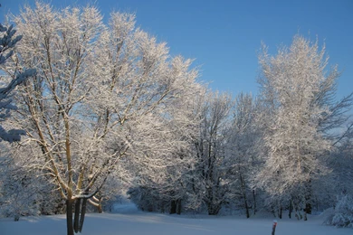 Cloudeight Free Desktop Wallpapers