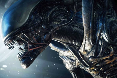 Download Free Modern Alien Isolation The Wallpapers 1920x1080px ...