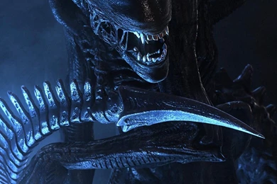 Alien HD Wonderful Wallpapers Free HD Wallpapers   Download Alien HD ...
