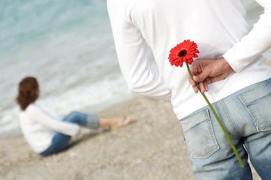 1680x1050 FLower For Sweetheart Wallpapers