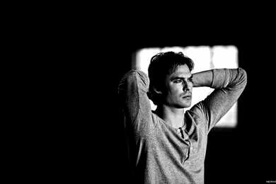 Ian Somerhalder Man Brunette Actor Photo   New HD Wallpapers