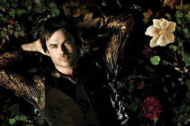 Ian Somerhalder As Damon   (