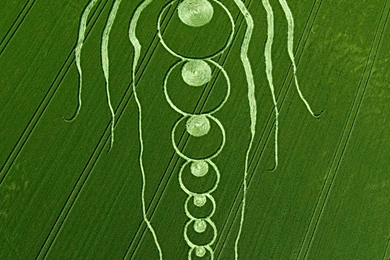 Wallpapers Crop Circle