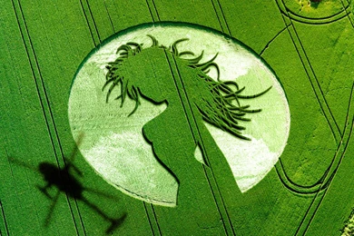 Top Circle Crop By Bella Wallpapers