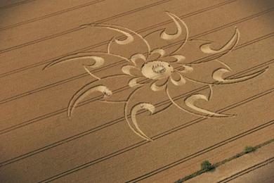 Crop Circle At Cherhill, Wiltshire, UK   7 August 2008