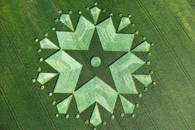 Crap" Circles On Pinterest