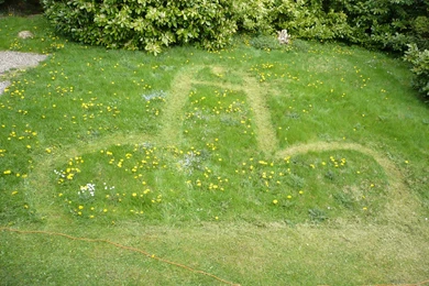 OT: Alien Crop Circle In My Garden!!!