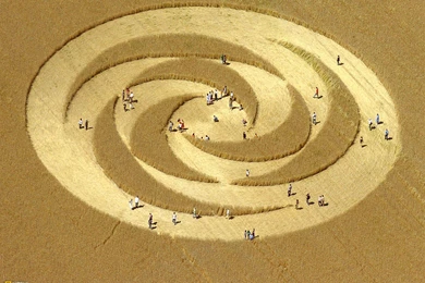 Top 1000 Screensaver: Crop Circles Screensaver