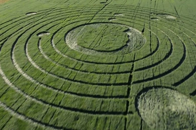 Hunter Valley, New South Wales, Australia   8 June 2014